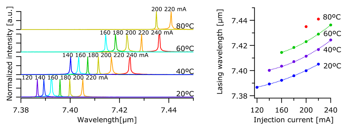 5ecc9c4087c7b.png